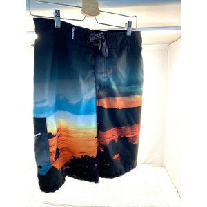 Ocean Current Men's Board Shorts/Swim Trunk Men's M